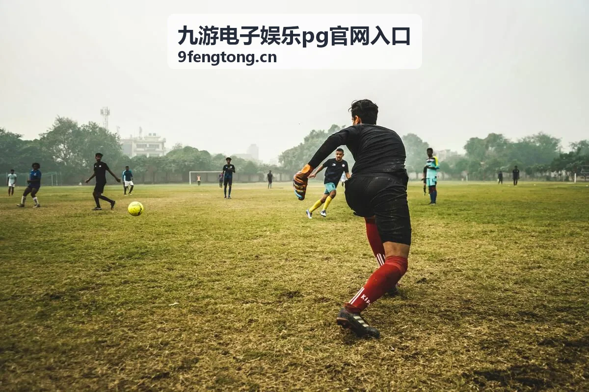 九游电子娱乐pg官网入口地址核对配图